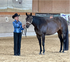 DQHA West-Futurity 2025