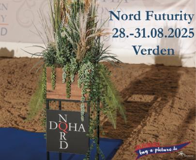 DQHA Nord-Futurity 2025