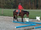 Training Bild