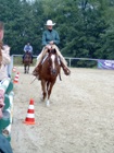 Horsemanship Railwork